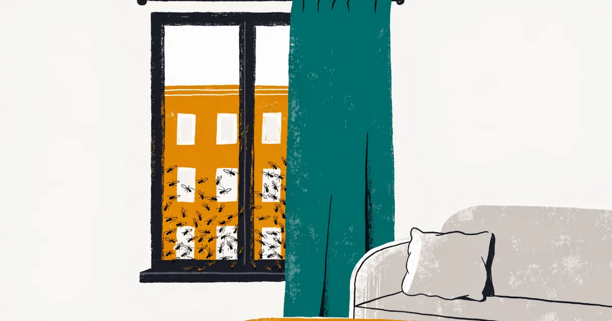 Fenster am Sommerabend mit geflügelten Ameisen auf der Scheibe