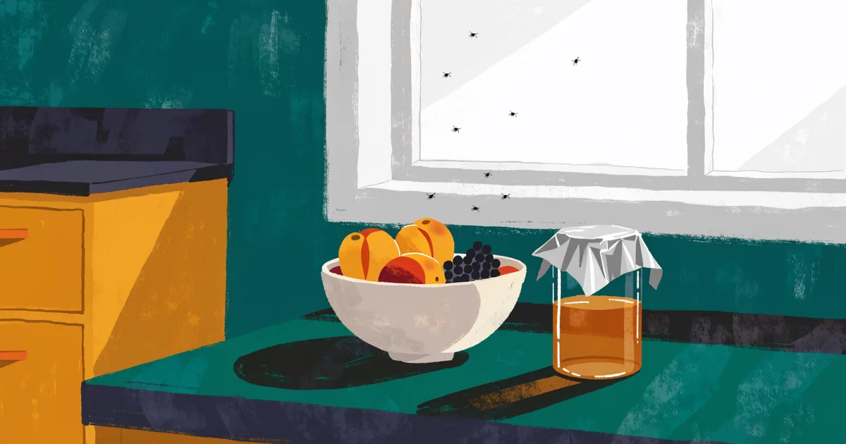 Küchenarbeitsplatte mit Obstschale und einem Glas mit Folie als Fruchtfliegenfalle