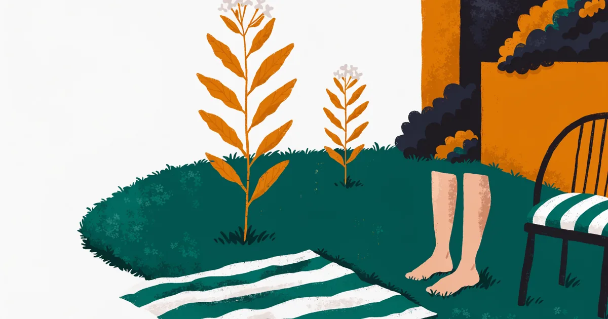 Rasen im Spätsommer, nackte Füße im Gras, Gartenstuhl