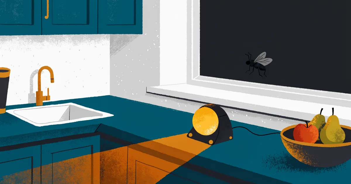 Küche am Abend mit UV-Insektenlampe auf der Arbeitsfläche und einer Fliege