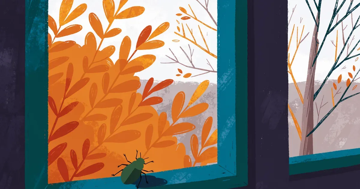 Fensterrahmen im Herbst, eine grüne Stinkwanze sitzt auf der Scheibe, draußen bunte Blätter