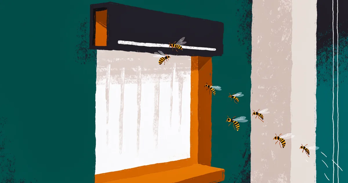 Rollladenkasten an einer Hausfassade, Wespen fliegen ein und aus