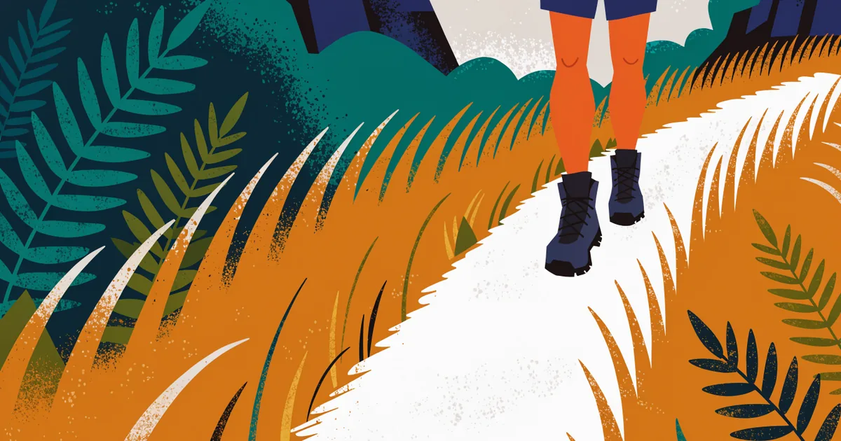Waldrand mit hohem Gras, ein Bein in kurzer Hose geht durch das Gras